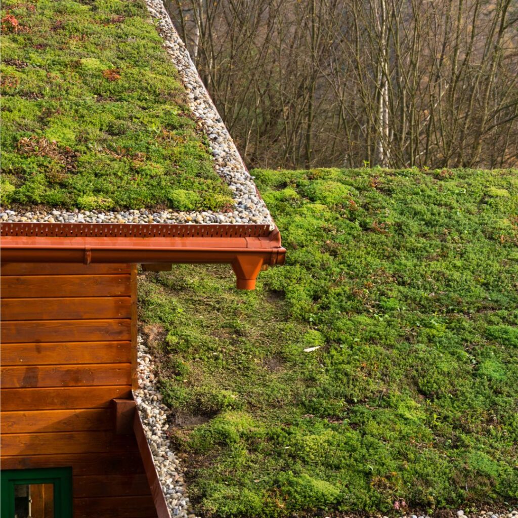 A Comprehensive Guide to Installing Green Roofs Benefits and Cost Considerations