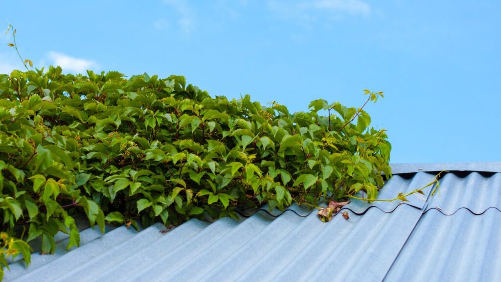 A Comprehensive Guide to Installing Green Roofs Benefits and Cost Considerations