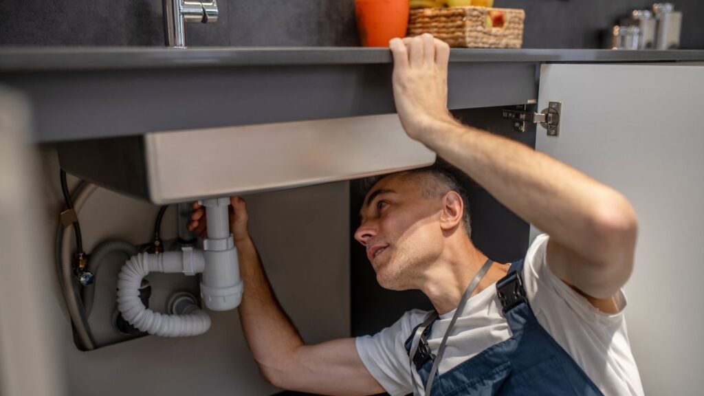 Plumbing Cost Estimator in Riverview