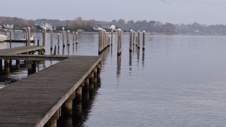 Read more about the article How Much Does It Cost to Install Dock Pilings ?