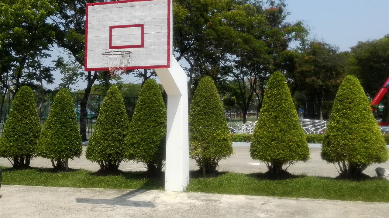 Basketball Court in Your Backyard