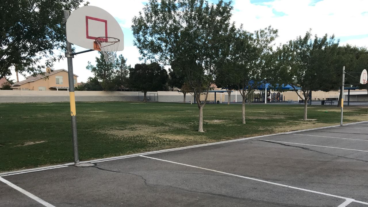 Half-Court Basketball Court in Your Backyard