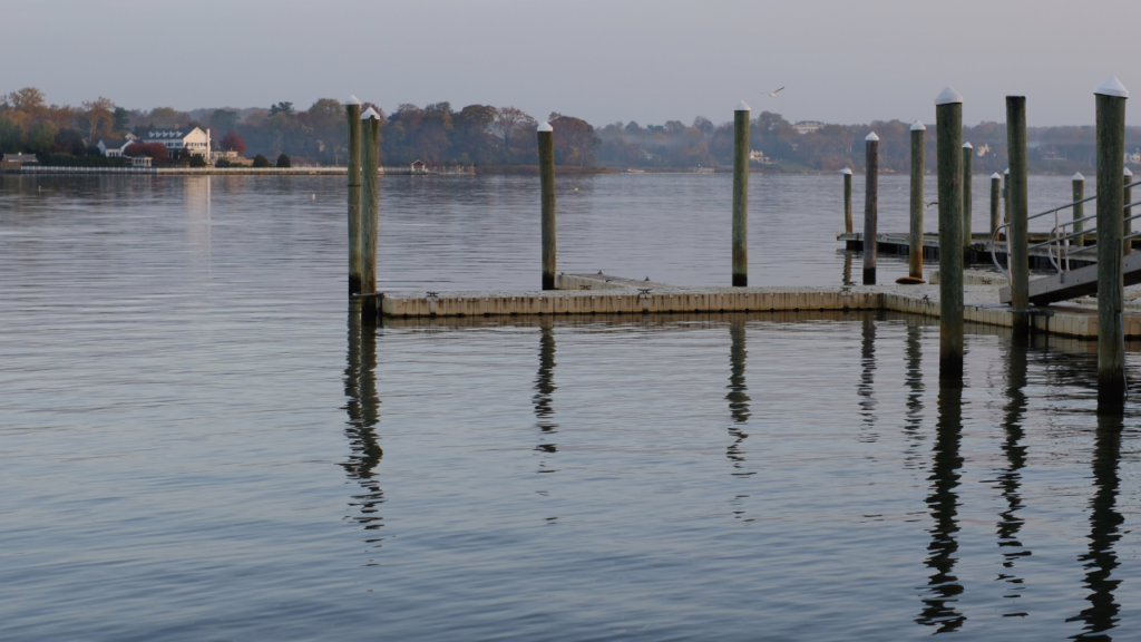 Cost to Install Dock Pilings