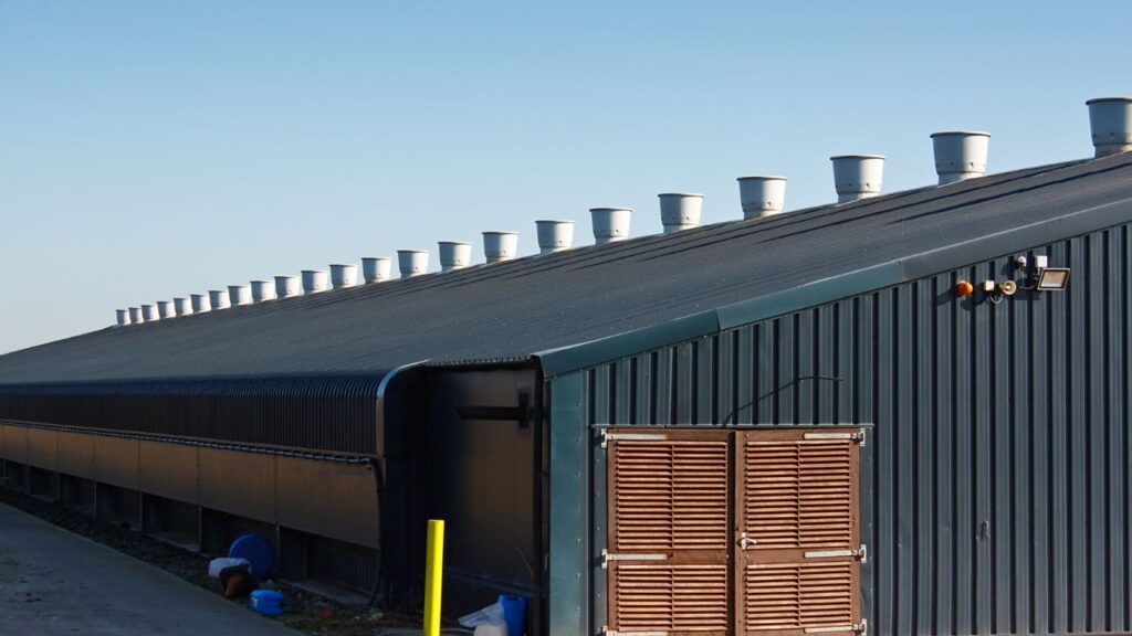 Metal Warehouse Roofing Cost