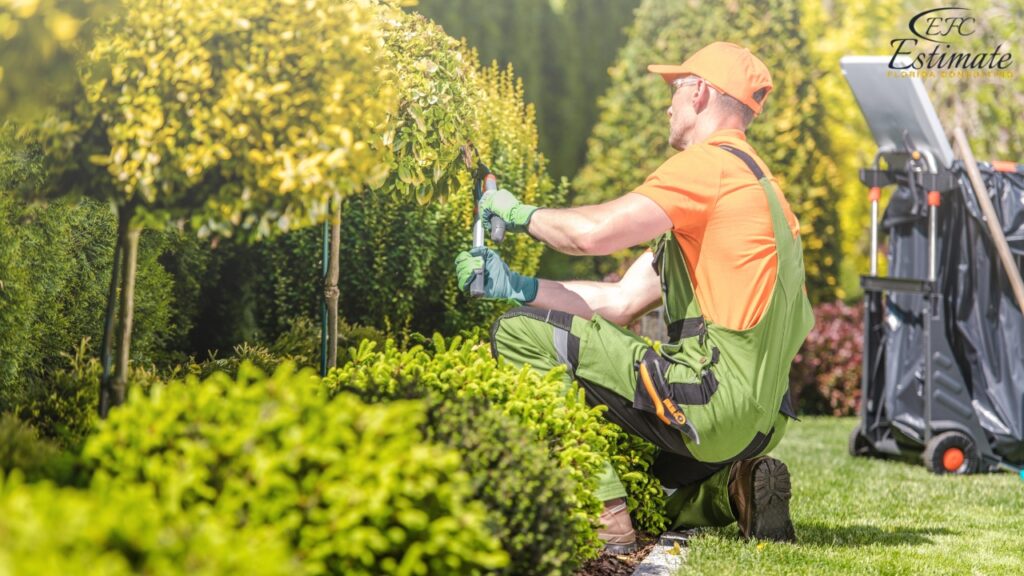 How Much Does Landscaping Cost for a Small Yard