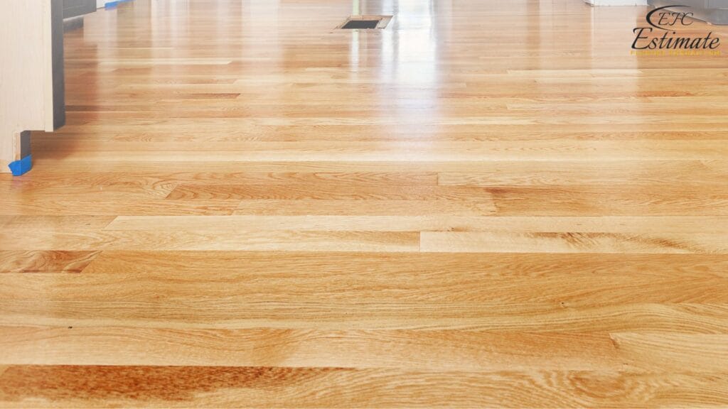 Best Flooring Options for Homes